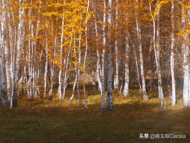 [普吉岛旅游攻略]单身男性泰国旅游全攻略？