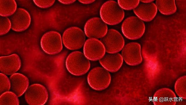 贫血吃什么补血效果最好女人(图36)