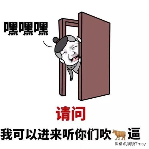 是什么意思