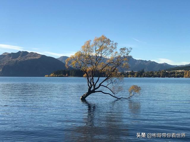 新西兰哪些景点必去的(图13)