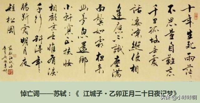 [不思量 自难忘]不思量自难忘是什么意思？