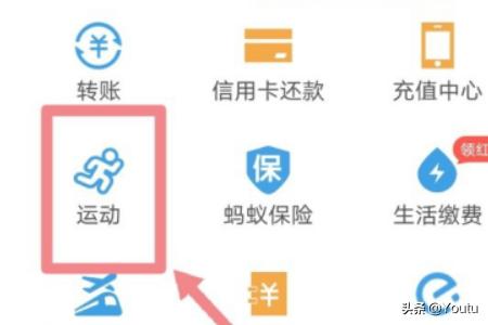 支付宝怎么改步数？：支付宝步数