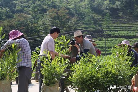 景观设计成本措施景观设计成本的控制方法