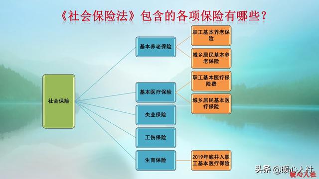 医疗保险，医疗保险在手机上怎么交