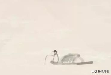 滁州西涧表达了诗人怎样的思想感情