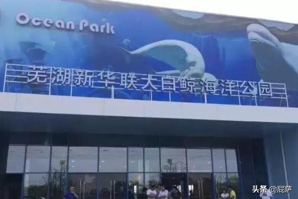 芜湖旅游攻略必玩的景点（芜湖旅游攻略必玩的景点推荐）