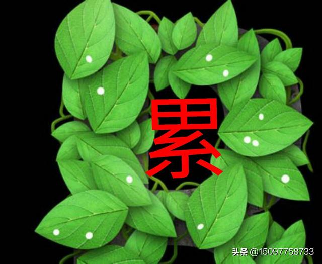 生活不容易经典句子短句鼓励句子