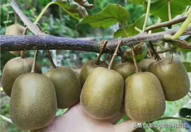 老师讨厌送礼的家长吗（老师不敢收礼）