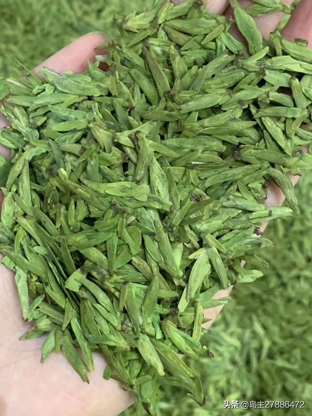 茶雅的雅称是什么,人生哲理关于茶的句子