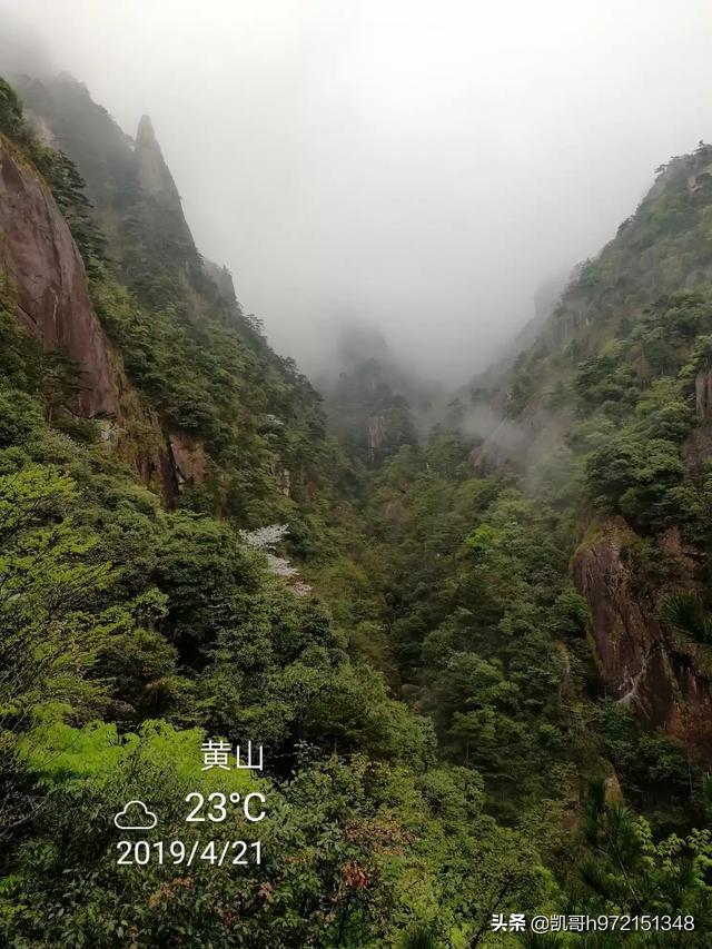 [黄山风景图片]黄山特色风景？