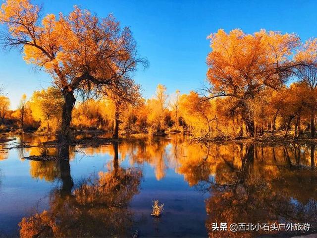 云南小蘑菇开始玩雪了云南小蘑菇开始玩雪了的图片