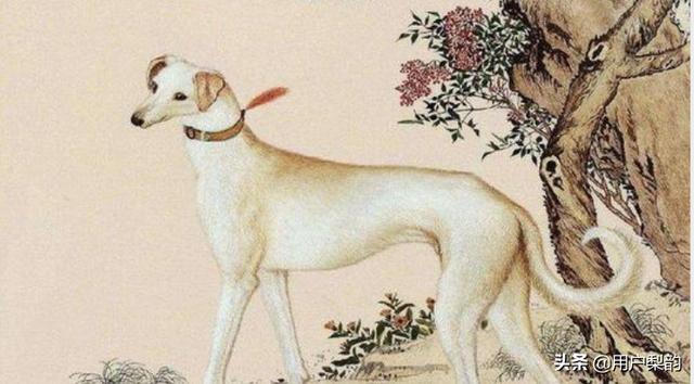 聊斋志异最黄的一则故事（聊斋志异电视剧最污的一段）