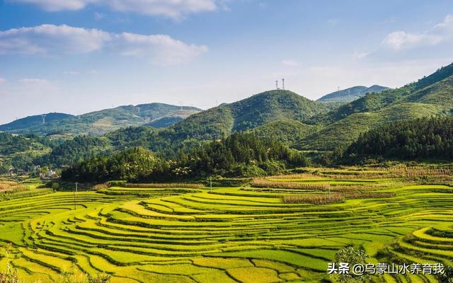 单身女性学什么手艺好做(图1)