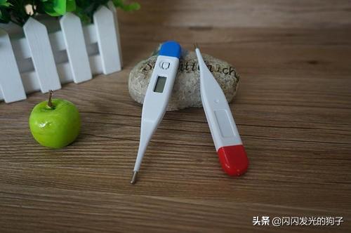 小狗感冒流鼻涕可以吃小儿感冒颗粒吗,第4张