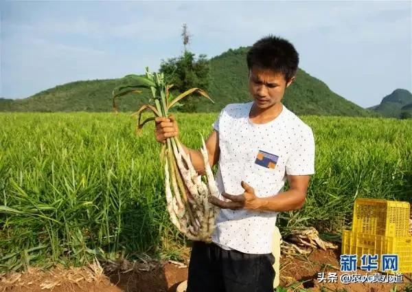 养殖户赚不到钱-养殖户赚不到钱怎么办