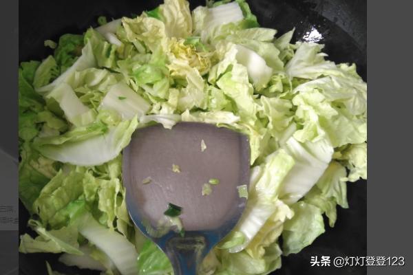 炖菜大全-炖菜大全家常菜
