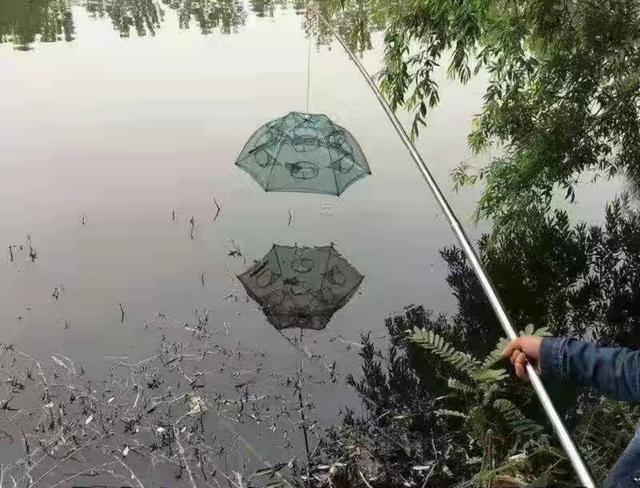 伞形地笼捕鱼技巧,伞型地笼捕鱼技巧