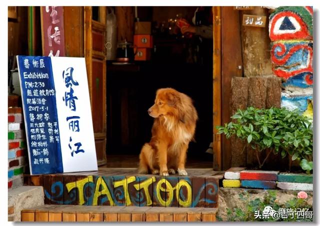 大理旅游穿搭新疆， 云南大理旅游穿搭
