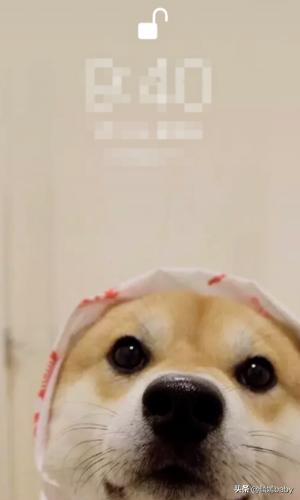 查找位置查找位置 对方位置不更新是什么情况