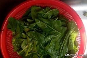 木耳菜做法大厨做法视频