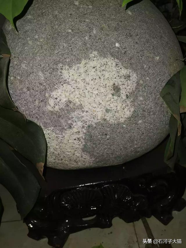 乌兰察布市四子王旗纸飞机账号购买经验