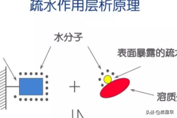 蛋白层析系统-蛋白层析系统原理