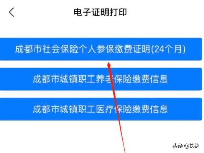 城乡养老保险明细查询打印，城乡养老保险明细查询打印在哪里