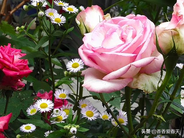 人生的路很长的经典句子（人生的路很长的经典句子简短）