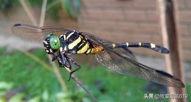 拍照最清晰的手机排行（拍照最清晰的手机排行榜前十名）