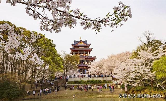 南宁市平凡汤包店怎么样