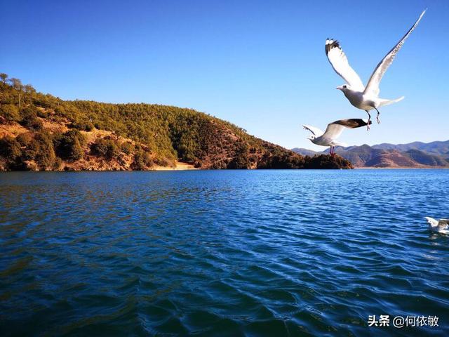 想去云南旅游应该买什么保险比较好