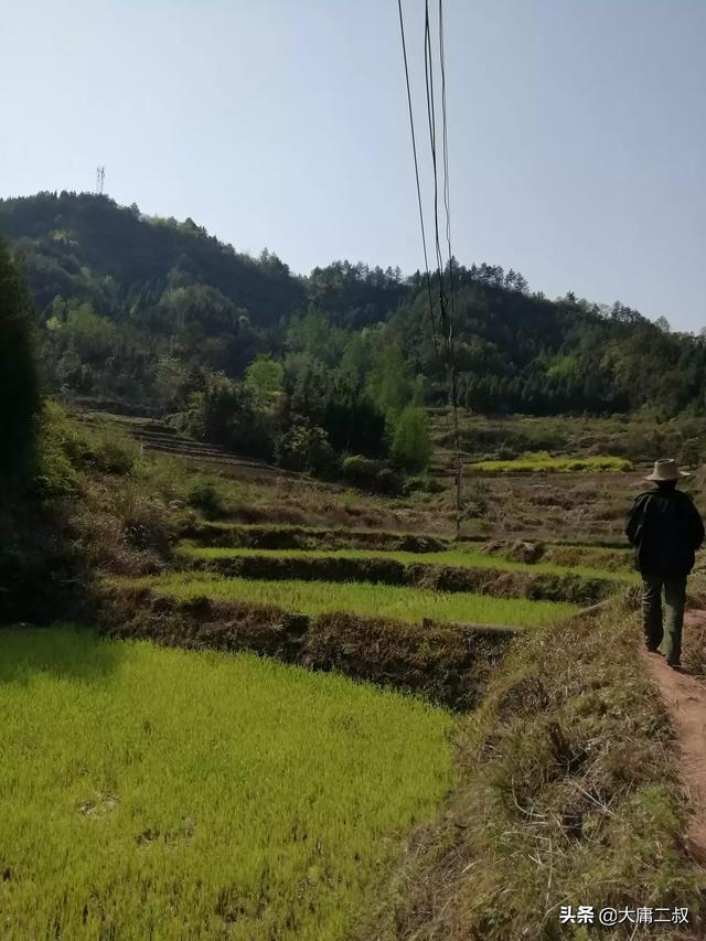 悲伤的故事韩剧免费观看（悲伤的故事韩版在线观看）