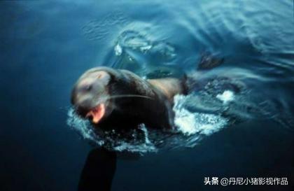 亚马逊隐世部落现身河边