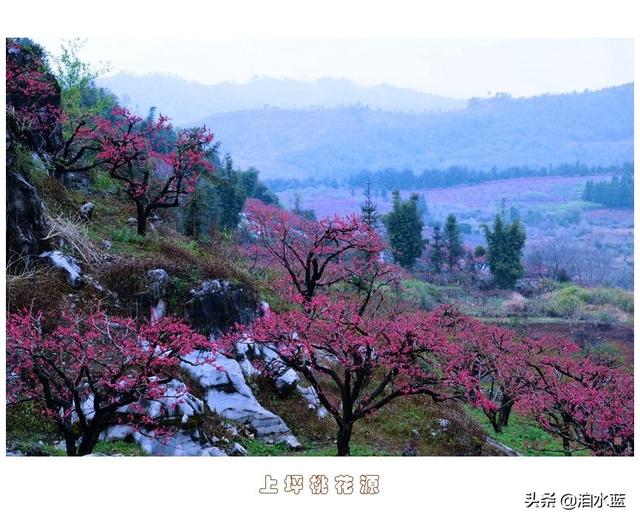 桃花源记原文赏析（桃花源记原文及注解）