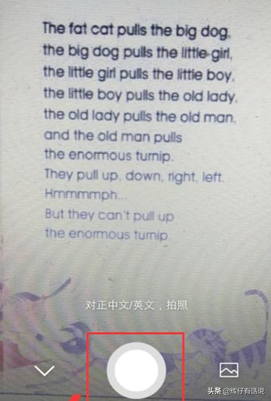 圖片翻譯-圖片翻譯掃描在線翻譯