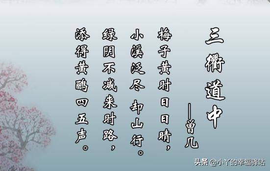 三衢道中的意思_三衢道中注释和译文