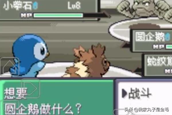 口袋妖怪卡那兹市攻略 口袋妖怪怎么去卡兹那市  第5张