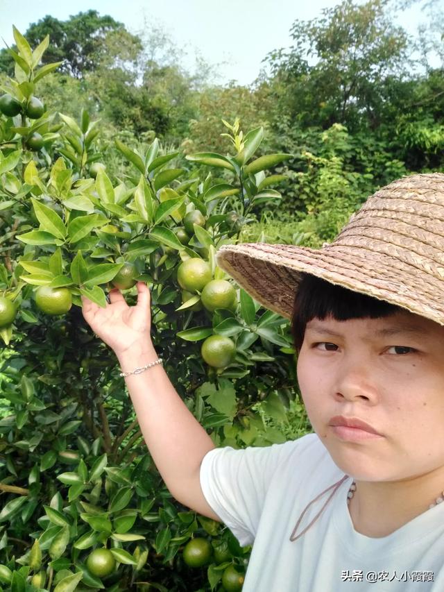 都安到平果的汽车站时刻表 路线图