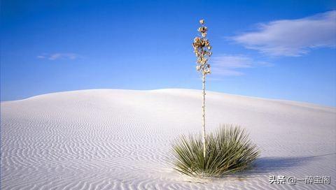 折磨一个人，最好的办法是什么,第4张