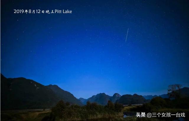 海外生活奇闻事件，海外生活奇闻事件有哪些