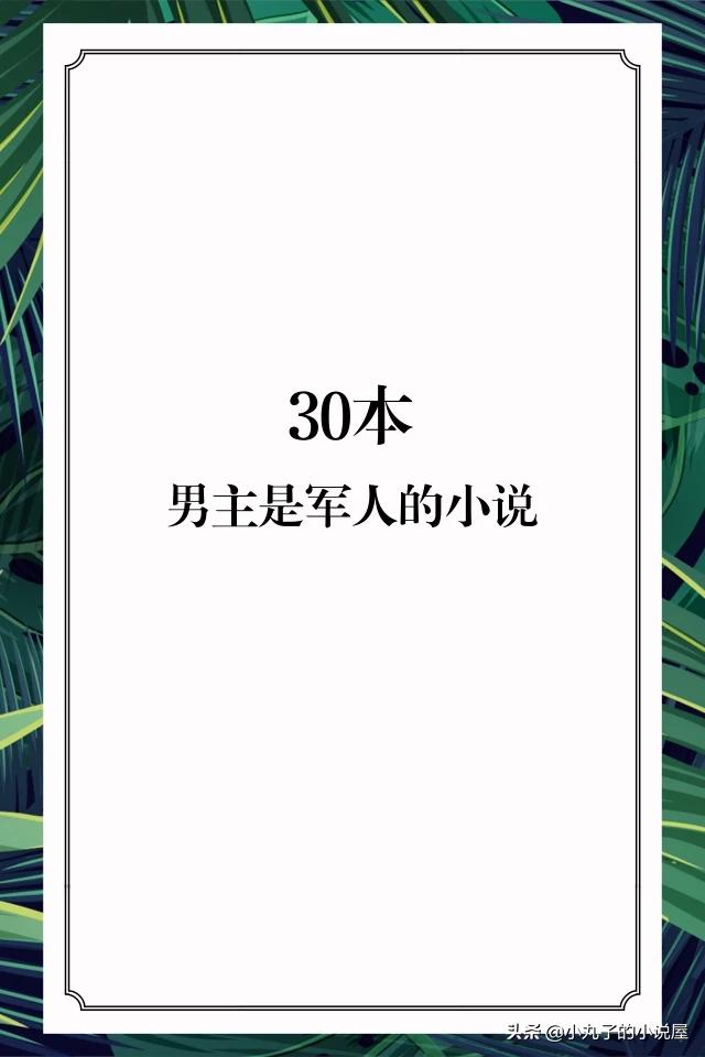 哪位好心人能推荐几本男主是军人或警察的言情小说