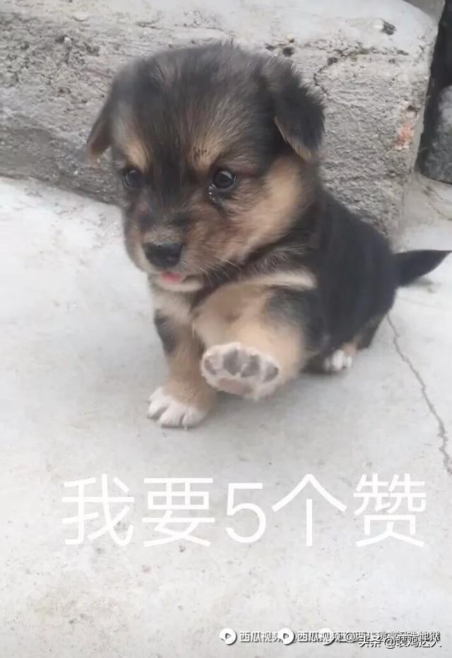 如何成功包装一名游戏主播？