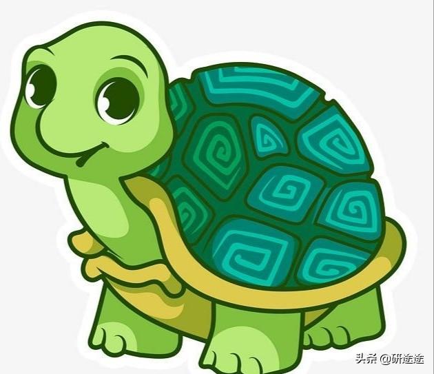 农村养乌龟赚钱可行吗,第5张