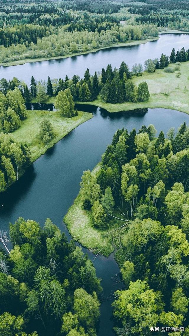 [春吧]春天来了什么那是春天的什么吧。造句、不要照着课上？