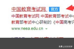 全国计算机水平考试官网，全国计算机水平考试官网登录