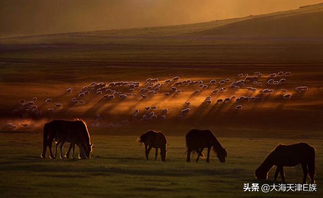 旅行保险哪个好，出国旅行保险哪个好