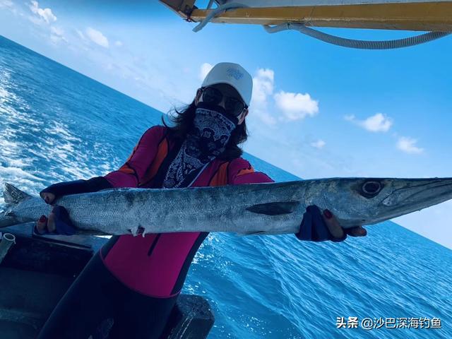 沙巴，这三个岛－环滩岛、蓝环岛、迪加岛，选择一日游哪个岛更好玩？：亚庇旅游攻略