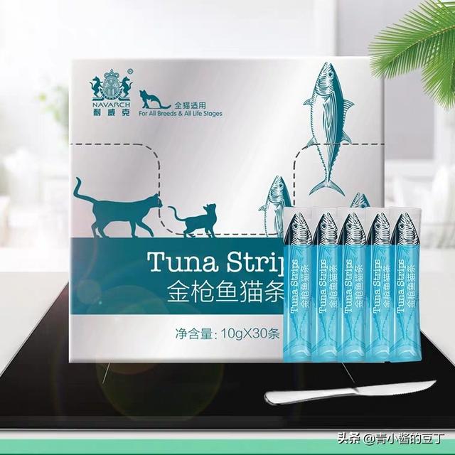准备去接领养的猫咪，需要带些什么呢,第6张