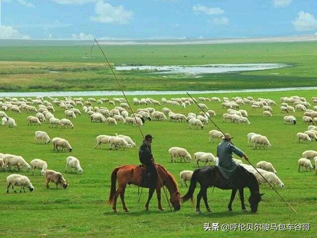 草原旅游去哪里好-草原旅游去哪里好 草原旅游胜地