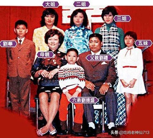 兄弟刘德华_兄弟刘德华酷我